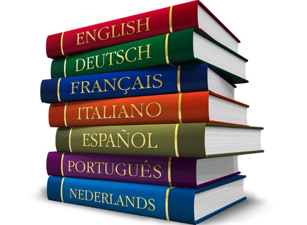 Linguae Mundi Translation Agency